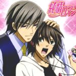 junjou