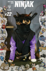 Cat Cosplay 