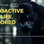 100 Thoughts On The 100: Radioactive Wildlife, Explored