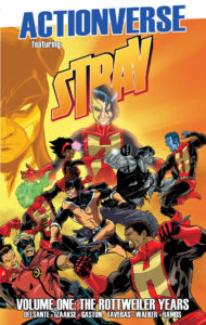 Actionverse The Stray Volume 1 cover